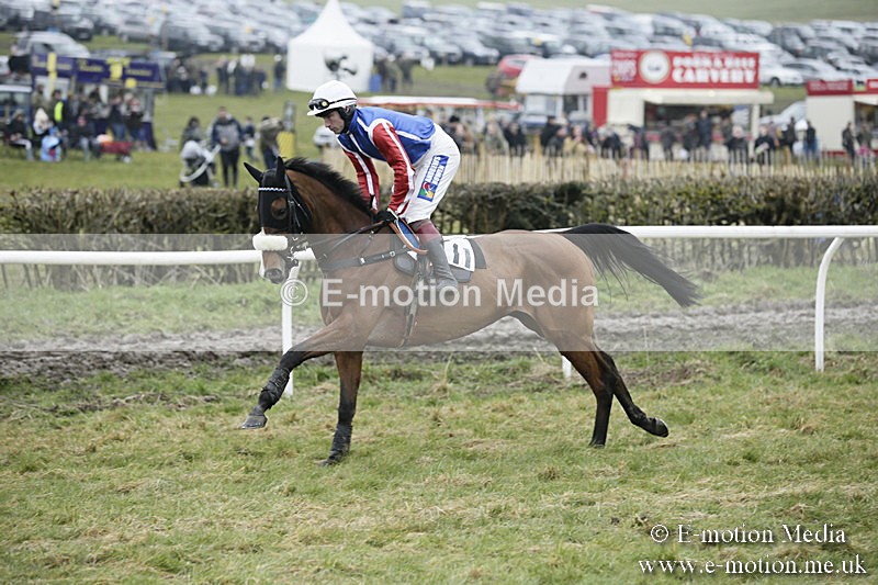 PtP 020418 -104 - Old Berks Point-to-Point Races Easter Monday 02/04/18