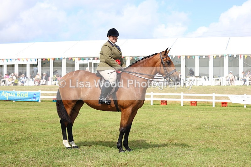 3E7A9580 - Class 4: Rising Star M/H Hunter