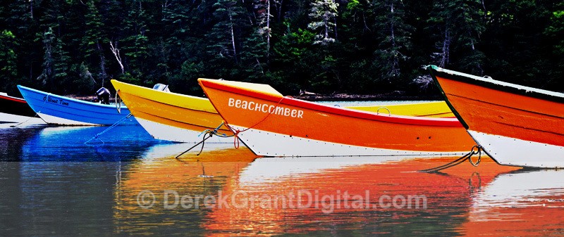 Dulse Dories - Boats