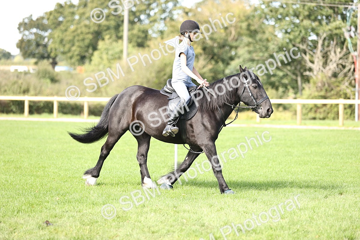SBM_22974 - S4 - Have a Go at Working Equitation