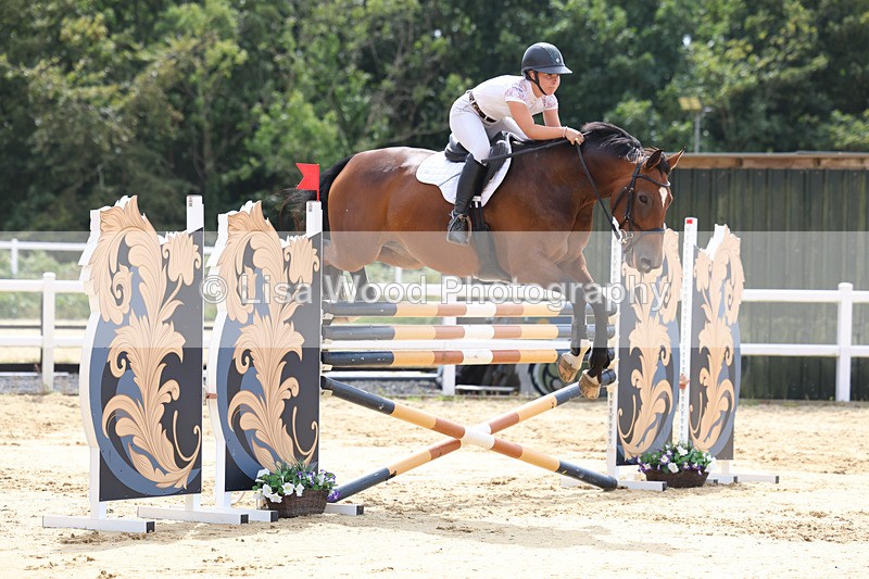 3E7A4340 - Class 8: Senior Foxhunter/1.20 open