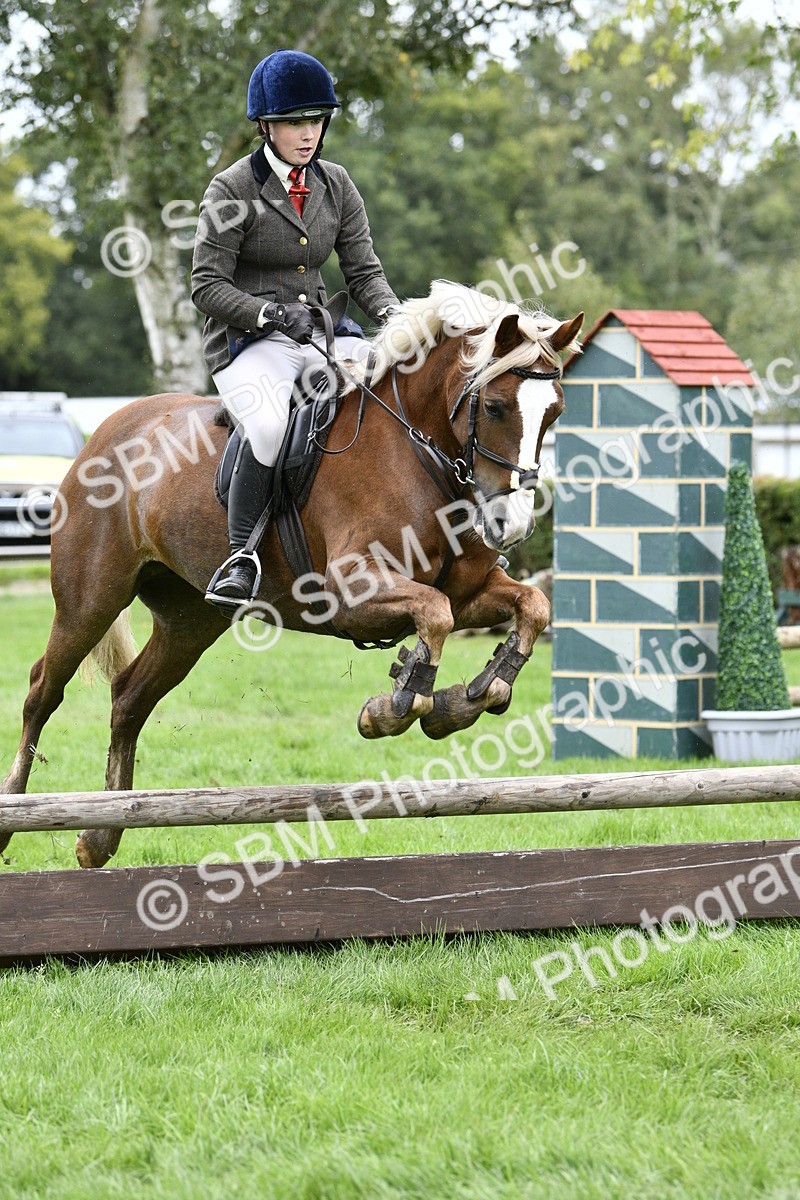 SBM_41374 - S32 - Mountain & Moorland Working Hunter Pony