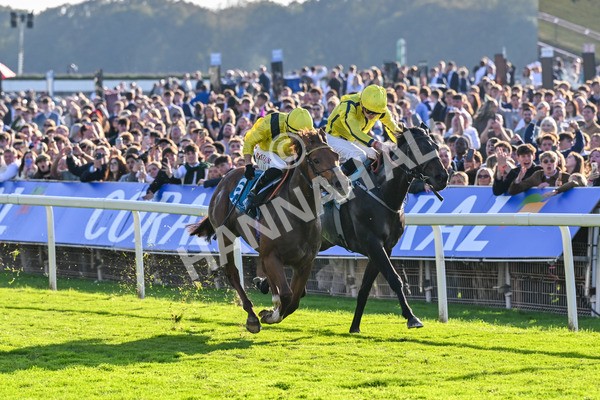 111025-Race 5-Morshdi-8898 - Race 5 Coral 'We're Here For It' EBF Maiden Stakes at York