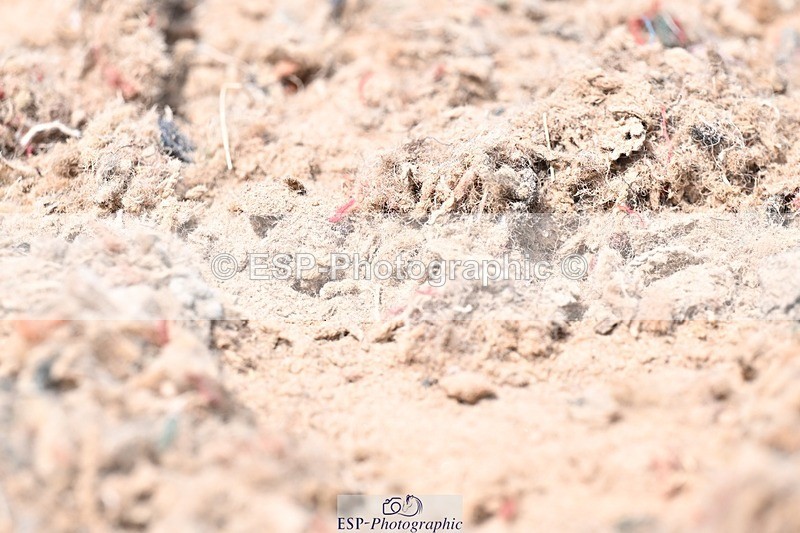 250620-132044-03451 - BD Cls 7 - Elementary 5, Start to 14.40pm