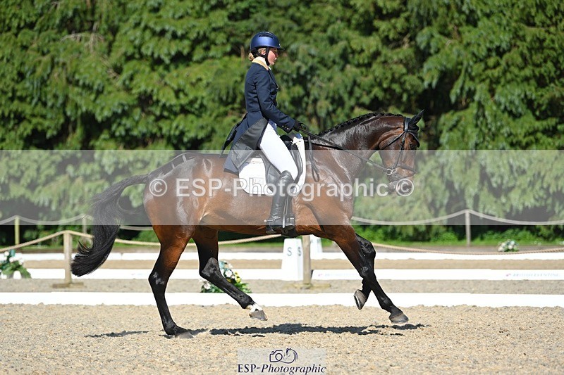 230526-161157-07298 - 254-PURE_TRENDSETTER-Ellie_Fredericks-WEDTrotUp+DR