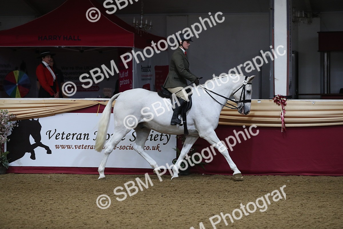 SBM_10301 - Class 102 Equitation (best rider) Adult