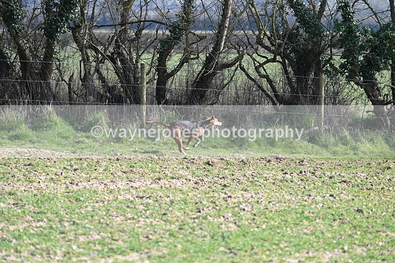 WJ7_5711 - Camera A