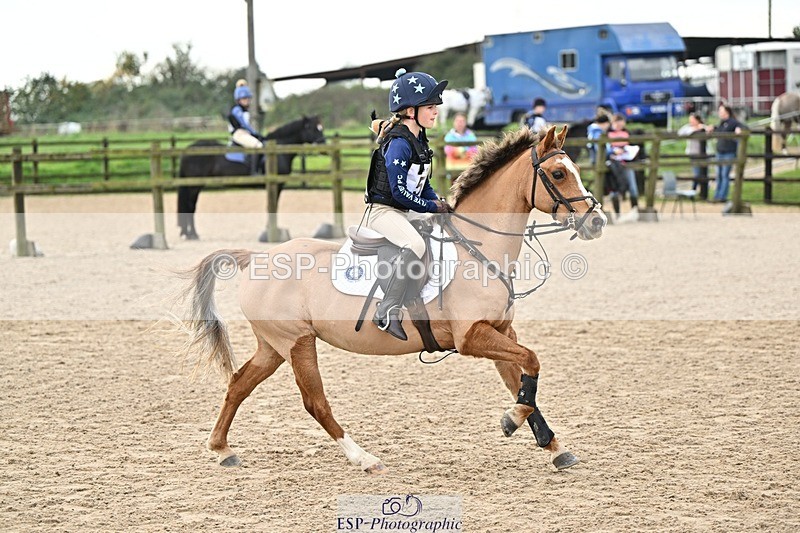 241110-125330-00778 - 50-55cm Arena Eventing
