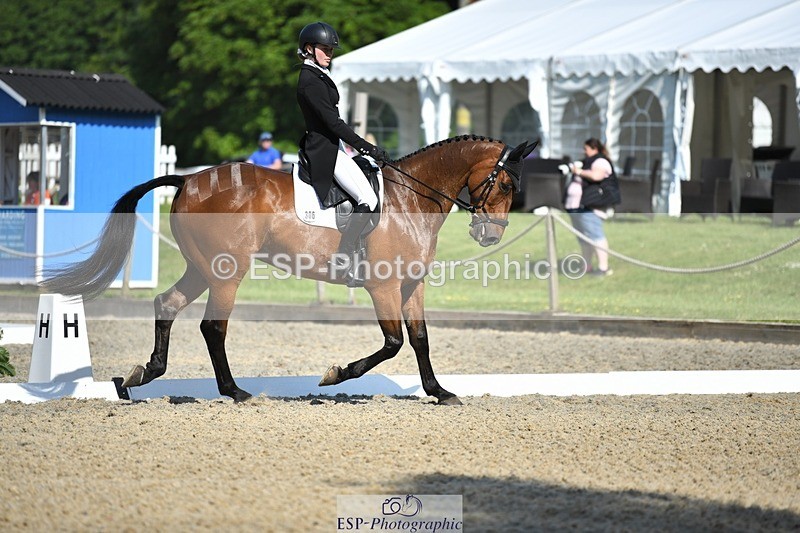 230525-093215-01618 - 306-JELSON-Lucy_Collecott-WEDTrotUp+DR