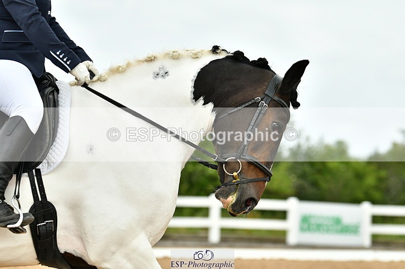 230702A-114516-08774 - Cls 26 Novice 37A