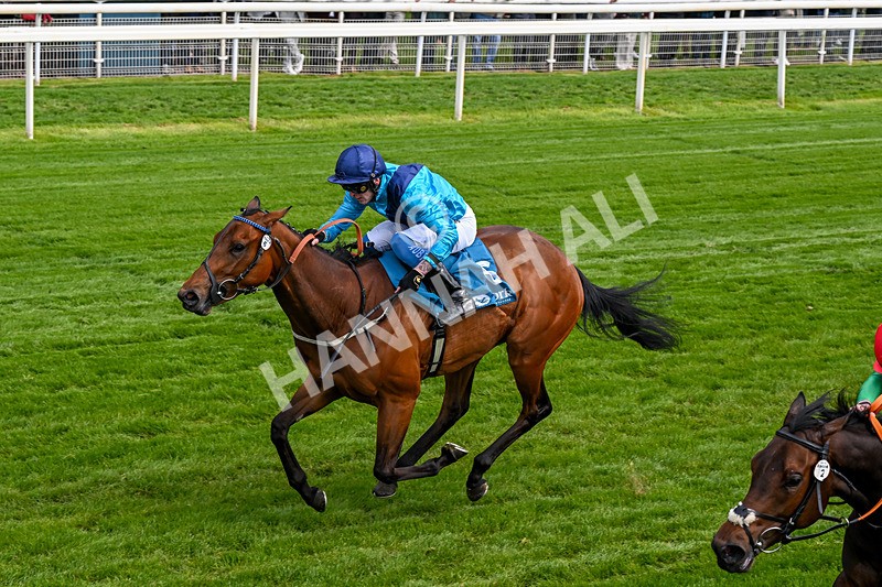150526-Race 4-Love A Giggle-0233 - Race 4 3.30pm Design Tonic Out Of This World Spaces At The Races EBF Marygate Fillies' Stakes