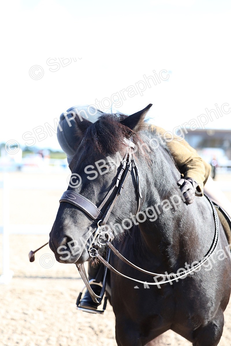 SBM_08903 - Class 302 - Ridden M&M - Large Breeds