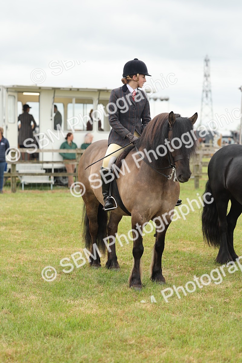 SBM_09009 - Class 78-80 - Ridden M&M Non Welsh Ponies