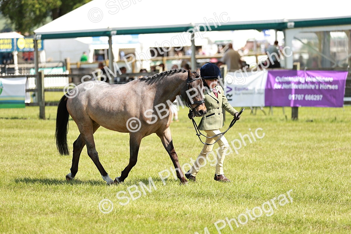 SBM_13520 - Class 108-109 - BSPS LIHS Open Gradle & Nursery Stakes