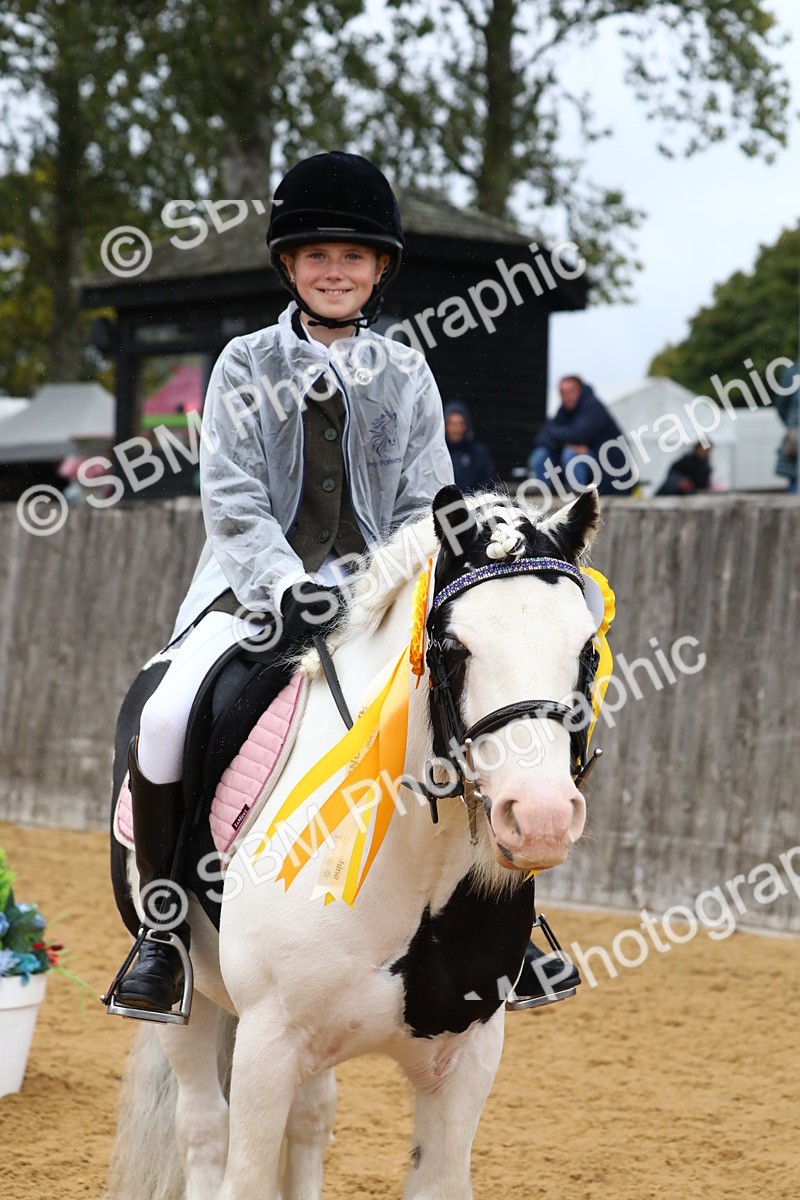 SBM_72118 - J3b - Mini Tour Junior Pony 40cm Championship