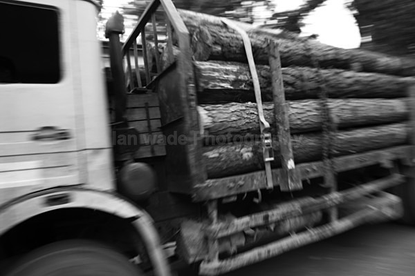  - Sri Lanka wildlife, people & places