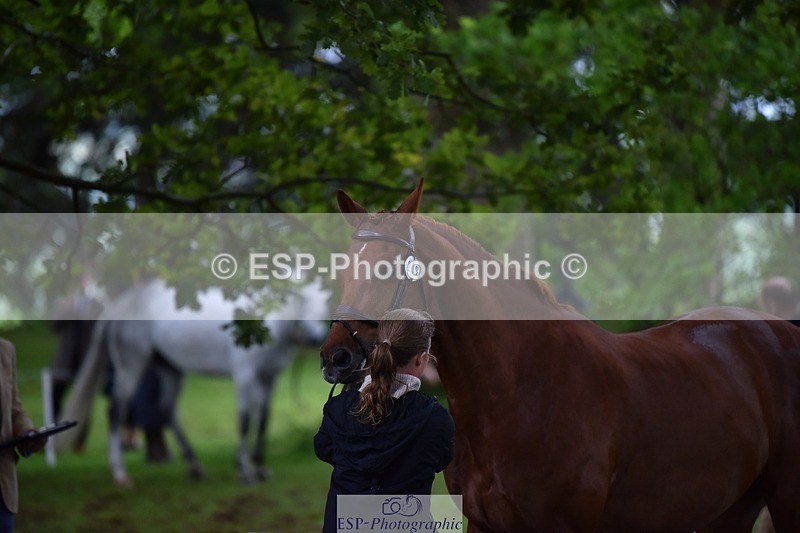 240522-164456-01126 - 219-HIT_CHAN_BOY_ALFA-Valentine_Emsens