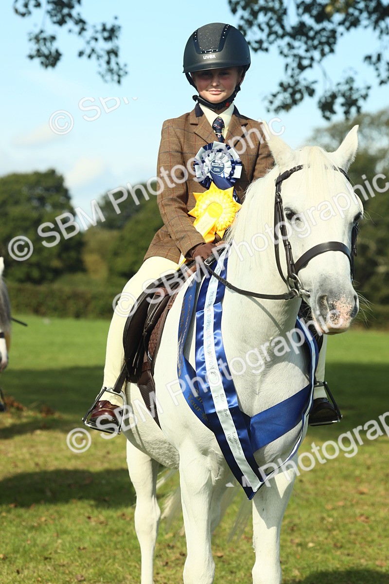 SBM_61156 - Starter Supreme Championship