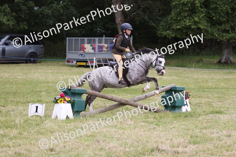 20260614-3111 - Class 22 - Open Working Hunter
