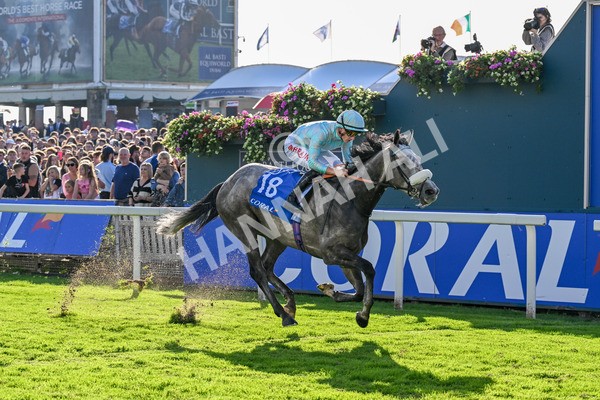 111025-Race 4-Binhareer-0474 - Race 4 Coral Sprint Trophy Handicap at York