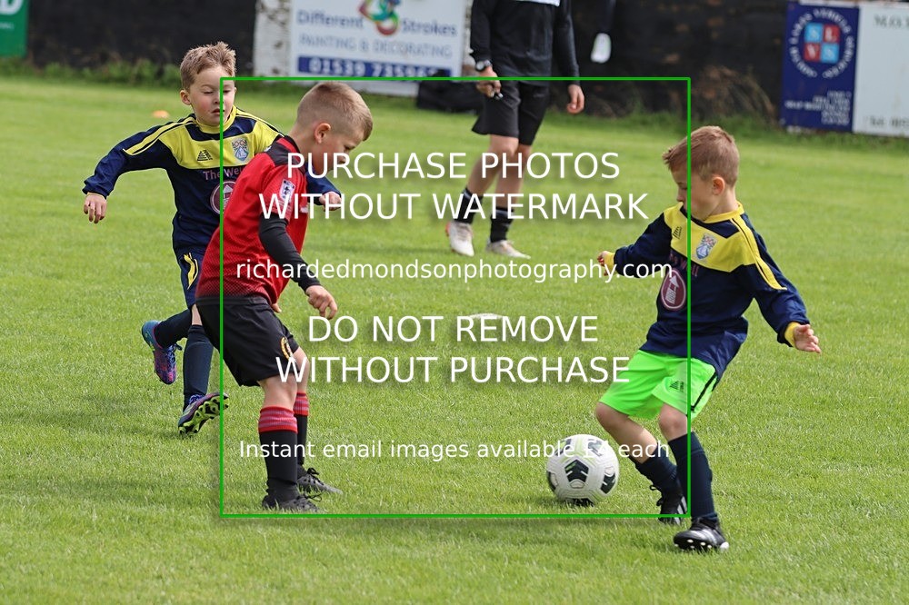 IMG_7386 - Workington Juniors