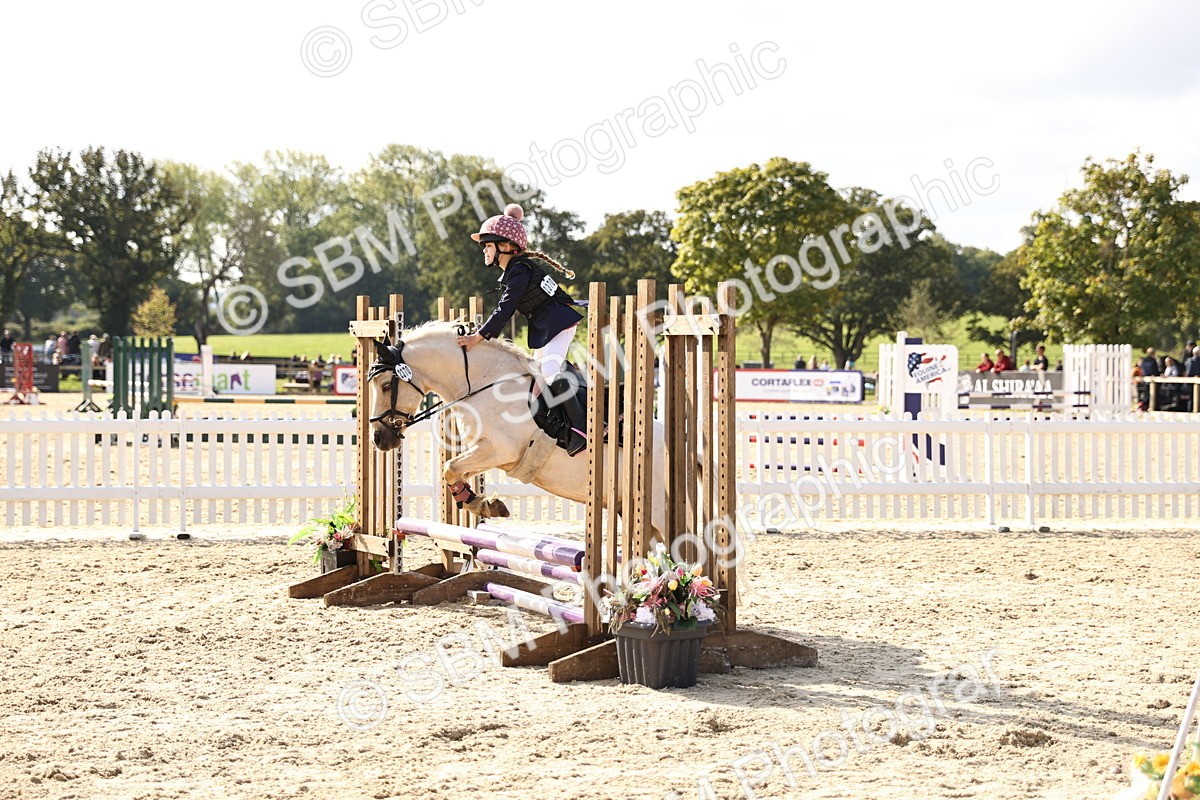 SBM_62062 - J12 - Junior Pony 55cm Championship