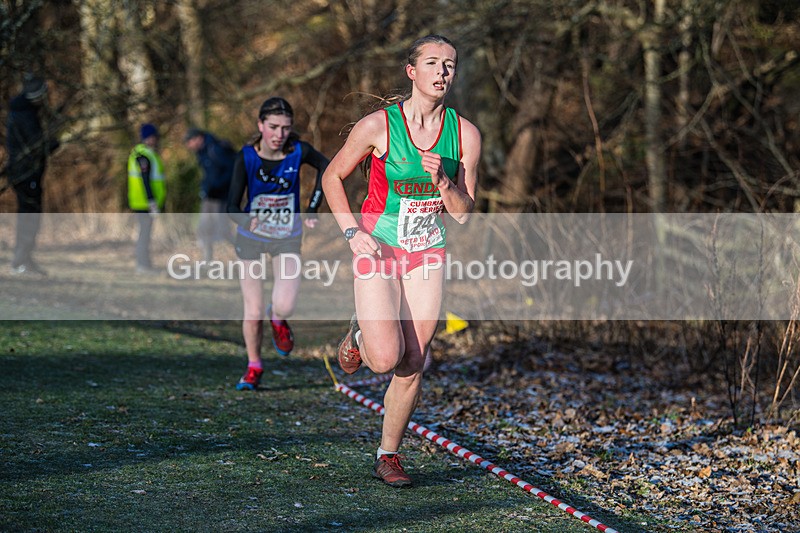 Cumbria XC-454 - Cumbria Cross Country Championships (Junior & Senior Races) Saturday 3rd January 2026