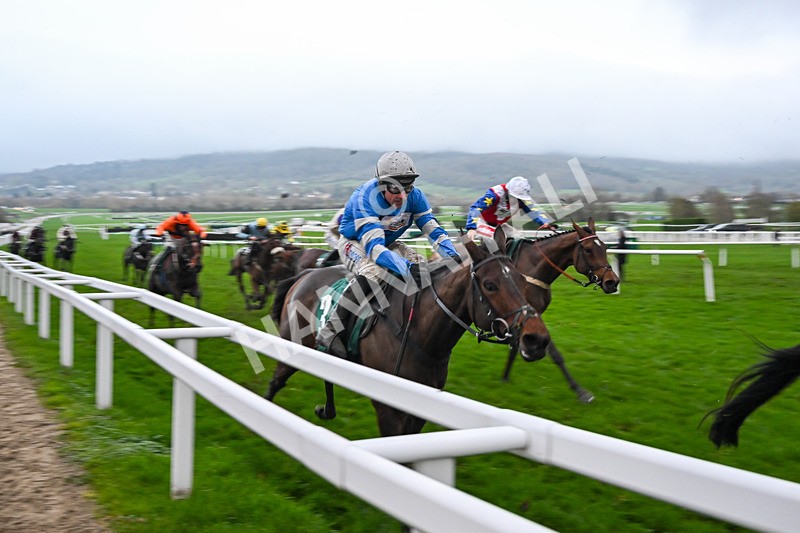 151125-Race 7-Divine Diva-4793 - Race 7