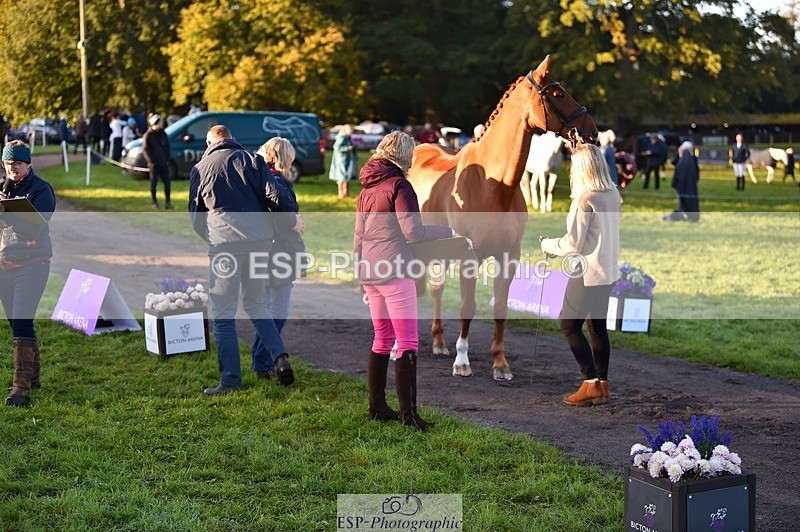 231022-084534-21337 - 625-KILTRA.ALFY-Abi.Meredith-TrotUp+SJ