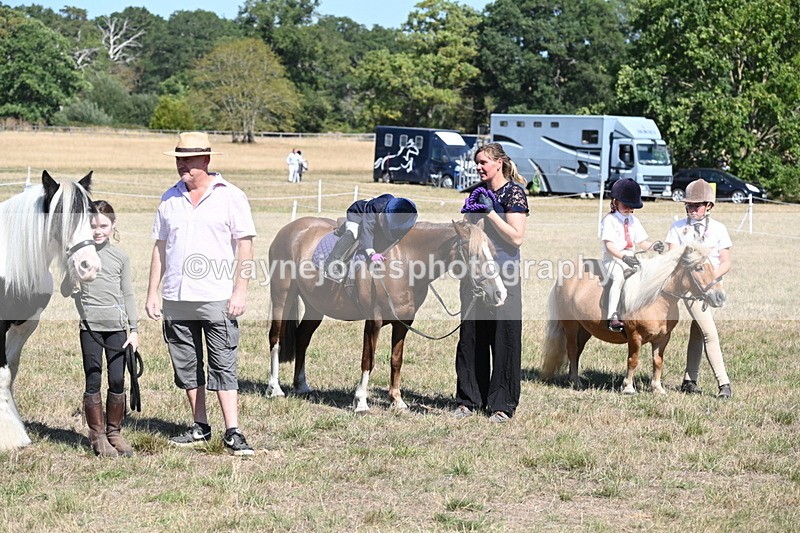 WJ6_9343 - Class 40 Cheekiest Pony/Horse