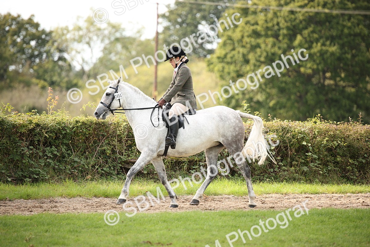 SBM_70393 - S66 - Hunter Ridden