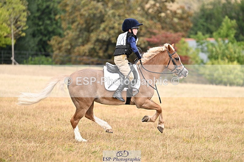 250824A-122751-36112 - 2028-Harry.Honeyball-Sardis.Cassius