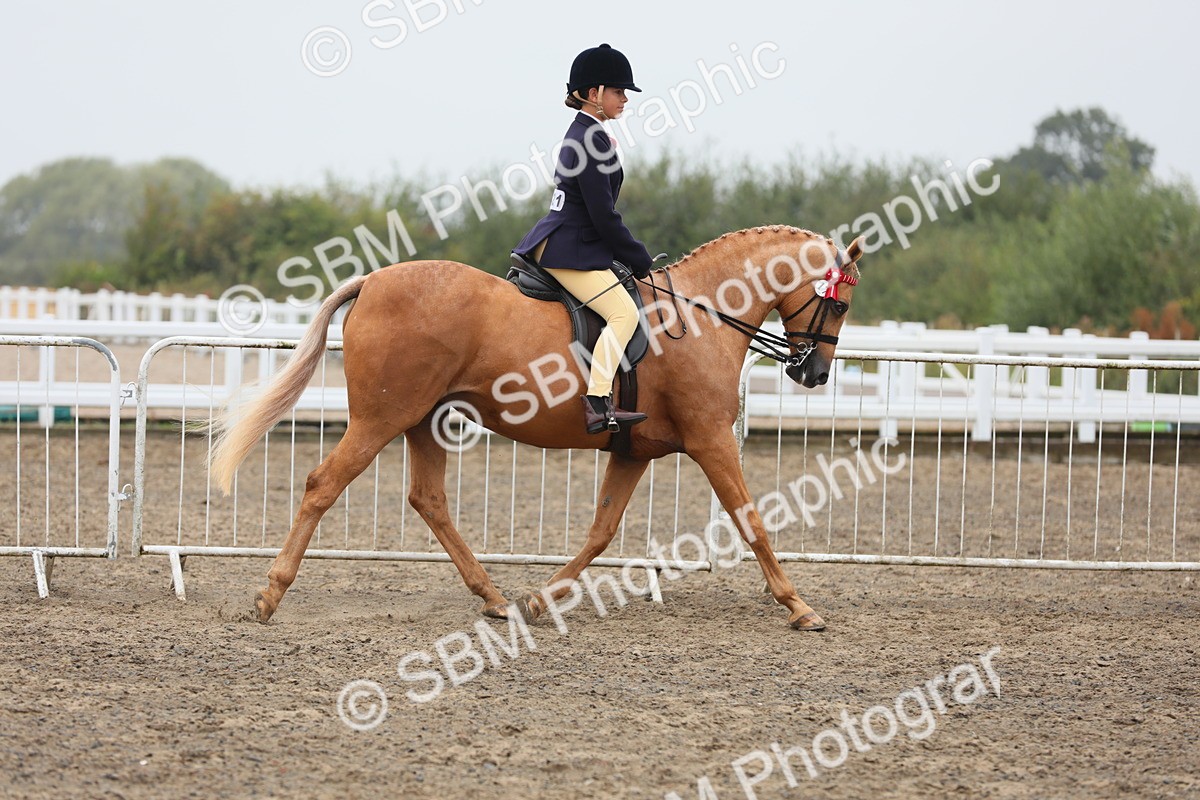 SBM_22294 - Class 807 - Young Rider 11 to 16 Yrs