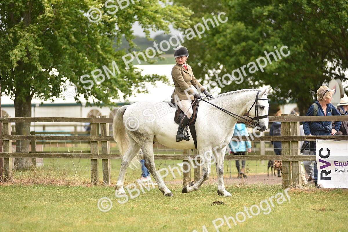 SBM_12090 - Class 110-112 - LIHS BSPS Performance Pones