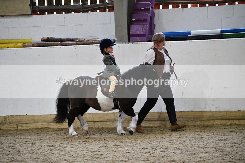 WJ5_6575 - Class 10 Childs Pony