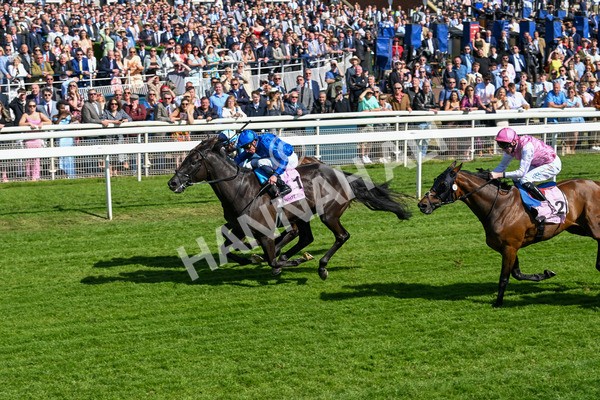 160525-Race 4-Rebels Romance-6721 - Race 4 3.45pm Boodles Yorkshire Cup Stakes