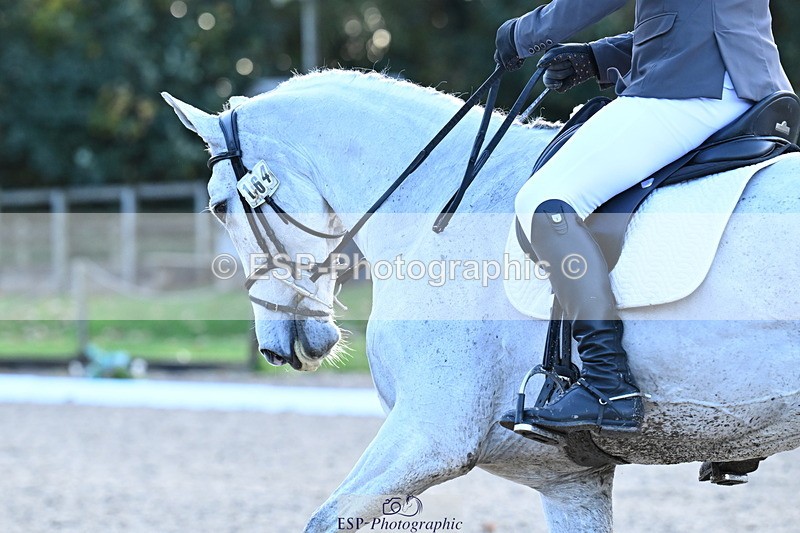 251023A-154313-05930 - B-164-Daniel.Sibley