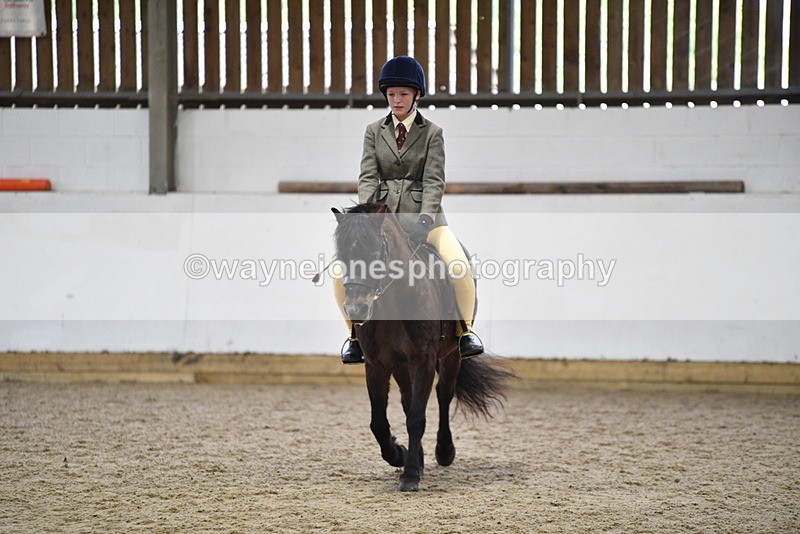 WJ5_6900 - Class 10 Childs Pony