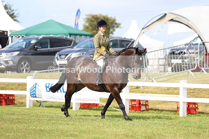 3E7A9218 - Class 3: Rising Star S/L Hunter