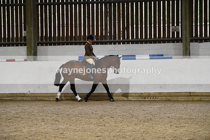 WJ5_8454 - Class 14 Novice Ridden/Rider