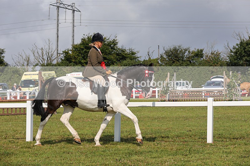 1X9A3466 - Skewbald and Piebald Ridden Championship
