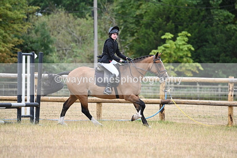 WJ6_0406 - Class 13 Novice Jumping 60cm