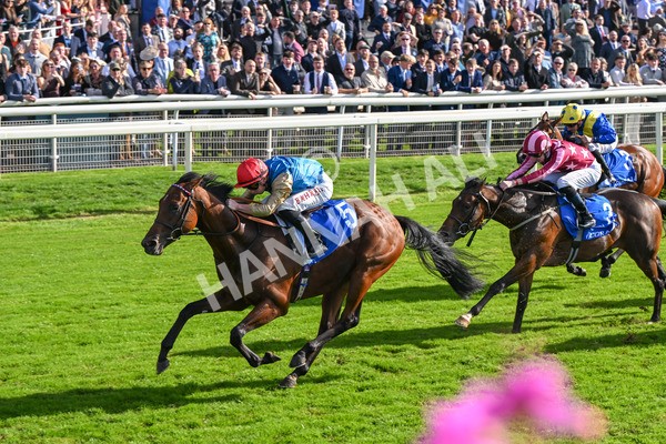 111025-Race 1-Division-8243 - Race 1 Coral Rockingham Stakes at York