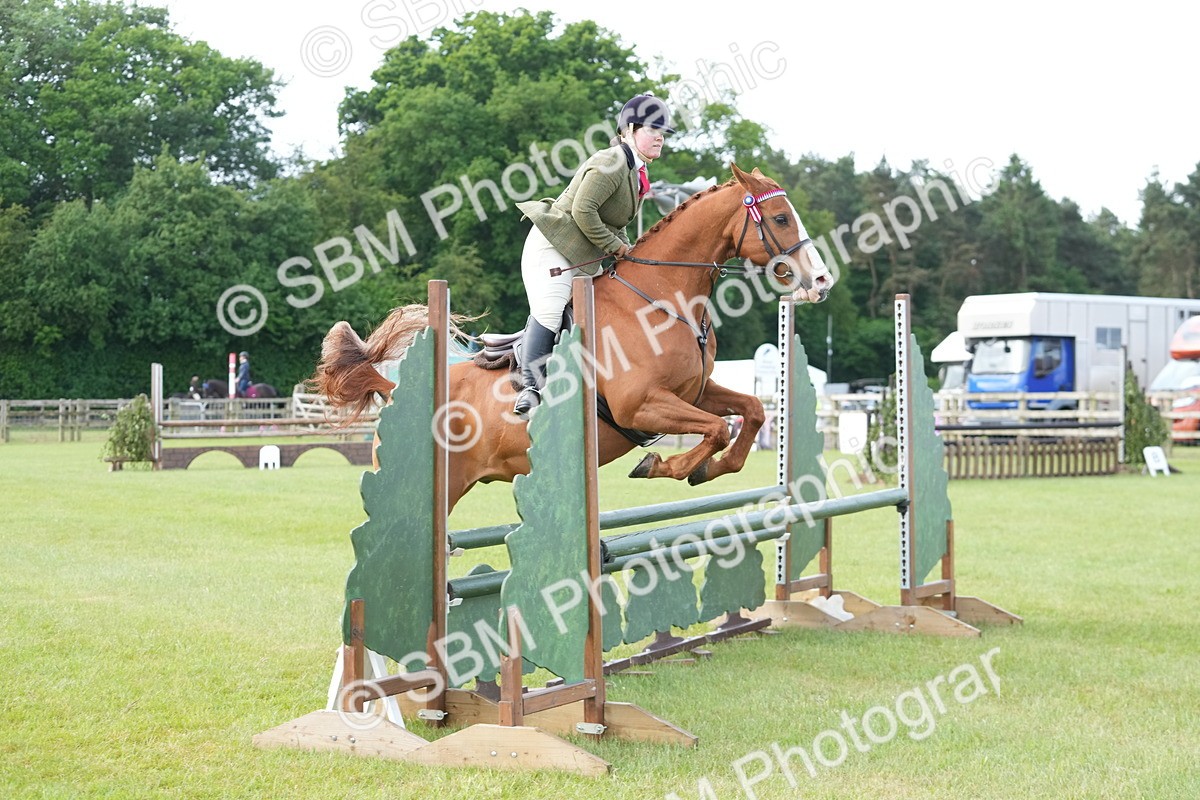 SBM_10472 - Class 97-98 - LIHS BSHA Rising Star Working Show Horse Hunter