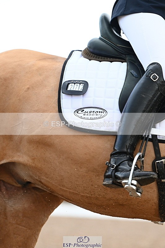 240218A-104111-06186 - 272-Beth.Bainbridge-Newton.Dreamcatcher