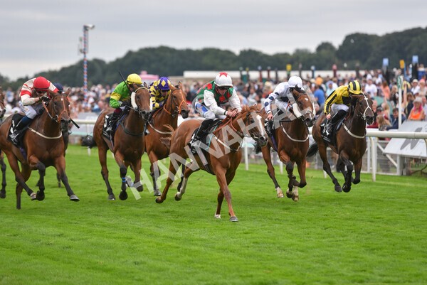 yr18082021r6-21 - Race 6 4.45pm IRE-Incentive It Pays To Buy Irish Stakes