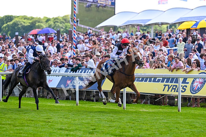 230526-Race 4-Danielle-7002 - Race 4 15.15pm William Hill Bronte Cup Fillies' Stakes