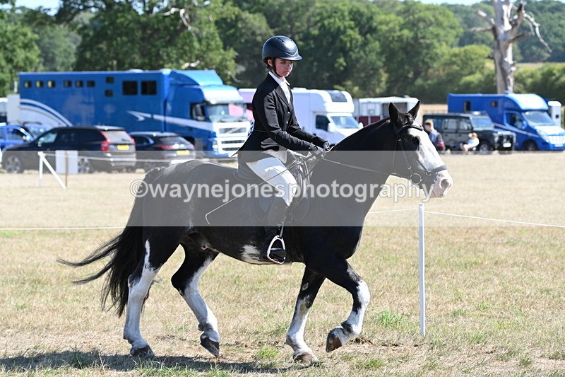 WJ6_8213 - Class 37a Best Loan Pony Ridden