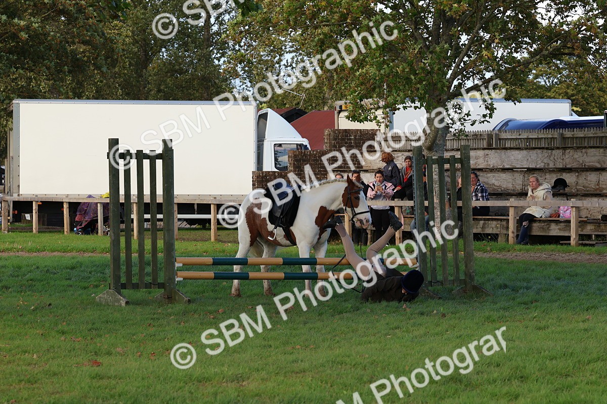 SBM_52577 - S13 - Pony Club Pony