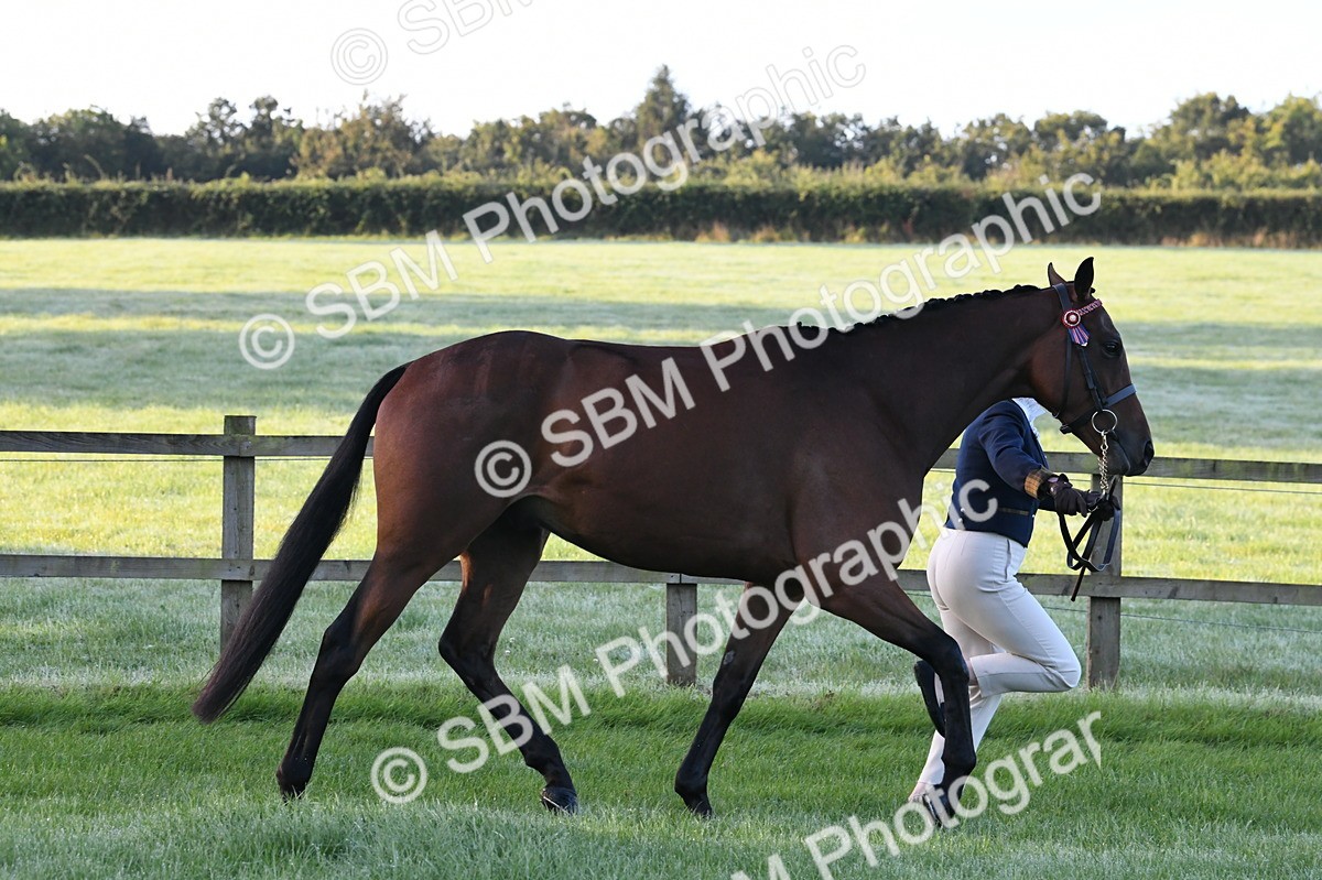 SBM_32573 - S15 - Condition & Turnout In Hand